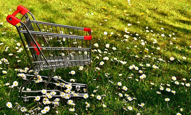 shopping